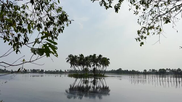Tropical coconut trees on a small island surrounded by calm waters in the Kerala backwaters, showcasing the serene beauty of South India&rsquo;s coastal landscape