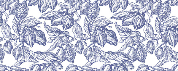 Fototapeta premium Vintage botanical illustration of cocoa plant with pod, engraving bean and texture leaves. Organic farm plantation. Hand drawn cacao tree branch. Classic chocolate packaging