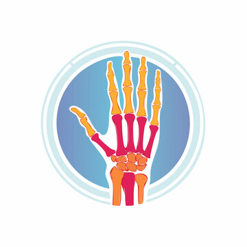 Human Hand Skeleton Anatomy Illustration