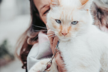 portrait of a cat © Eduardo