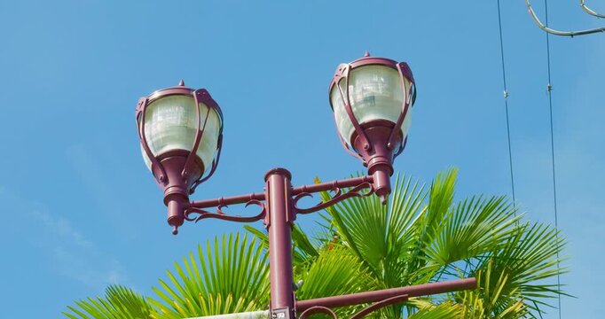 Double head streetlamp with ornamental posts and palm fronds