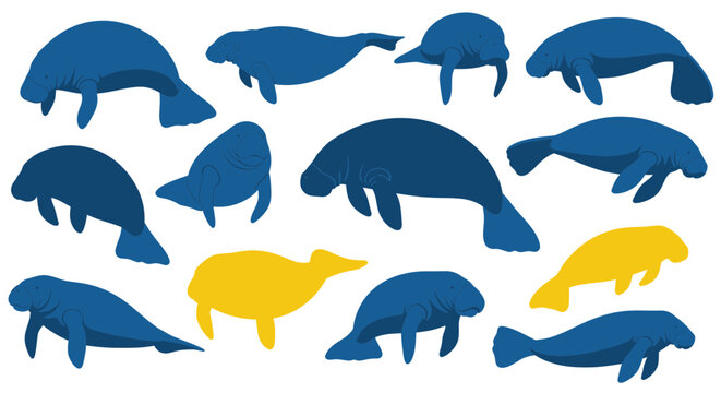 Collection of manatee silhouettes in various swimming poses