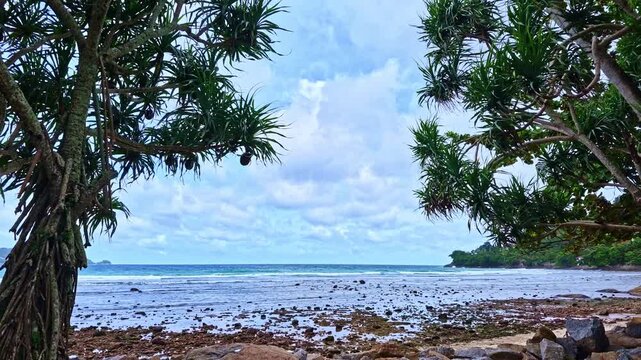 Tropical Beach Framed by Pandanus Trees. Coastal vegetation creates a natural archway overlooking the Andaman Sea, where gentle waves meet a rugged shoreline in a peaceful tropical setting.