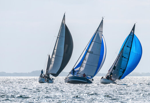 3 Segelschiffe mit Spinnaker im Gegenlicht