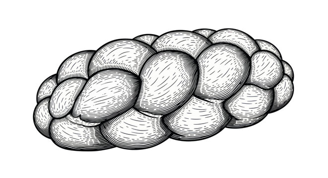 Braided loaf of challah bread in hand drawn engraving style