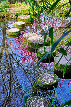  Peaceful Japanese Garden with stone path over water pond . Photo taken 10.04.2026r.  in Leverkusen, Germany.      japanese garden pond