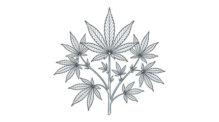 Cannabis plant branch with serrated leaves in botanical sketch style © Denso