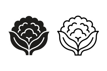 Fototapeta premium Stylized cauliflower icons in solid black and outline versions for design