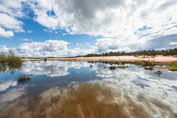 Obraz premium The Loonse and Drunense Duinen National Park. Blue Sky and Clouds Reflected in the Water, Sand and Pines in the Distance