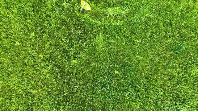 In this impressive aerial shot, watch a skilled male worker trim grass with a petrol mower. The rhythmic motion brings order to the lush greenery as the sun smiles down on a perfect day.