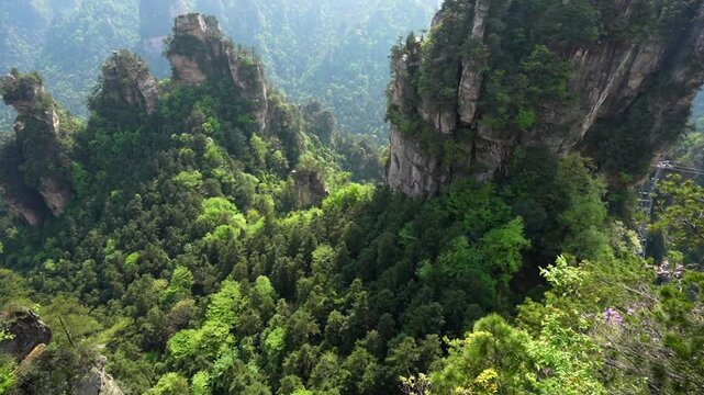 Wulingyuan karst pillars and green trees in Hunan province's Zhangjiajie National Forest Park