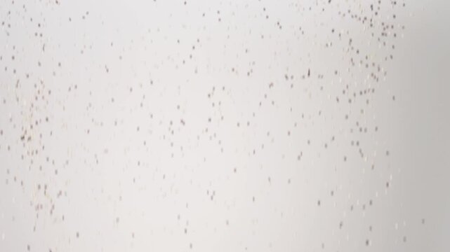 Plant protein superfood Tri-color Quinoa raining down on a white backdrop in slow motion close up macro.