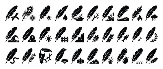 Fototapeta premium Feather nature symbols. Wildlife element pictograms. Organic quill glyph set. Flat style.