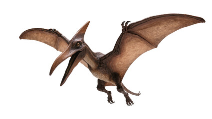Pterodactyl flying with open mouth and wings spread © Andrei