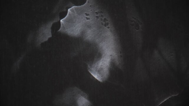 Textured wall, on which gleams of light cast fanciful shadows. The twilighty shadows danced across the dark background, grotesque twilight loomed against the wall. Surreal backdrop