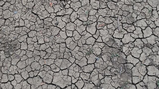 Cracked Dry Soil Surface Texture Caused by Extreme Drought and Heat