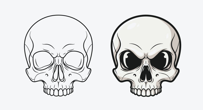 Detailed anatomical illustration of two human skulls showing different artistic styles with line art and shaded versions side by side.