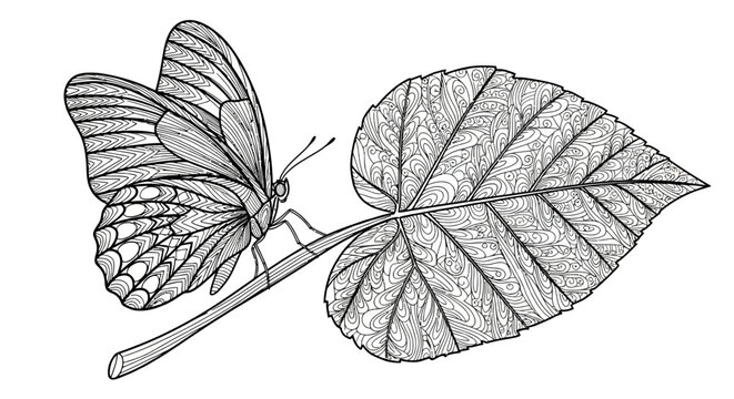 Detailed butterfly resting on a leaf with intricate patterns, perfect for coloring pages and artistic designs