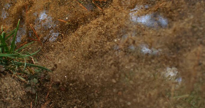 Super Slow Motion Close Up Of Sand Flying After Golf Bunker Shot. Concept Of Dynamic Sports Background. Abstract close-up of sand particles suspended in motion after a bunker shot.
