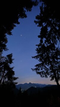Vertical Night Sky Timelapse with Stars and Planets Through Spruce Silhouettes