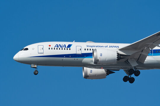 All Nippon Airways Boeing 787-8 Dreamliner (JA808A) on final approach to Haneda Airport under clear blue sky
