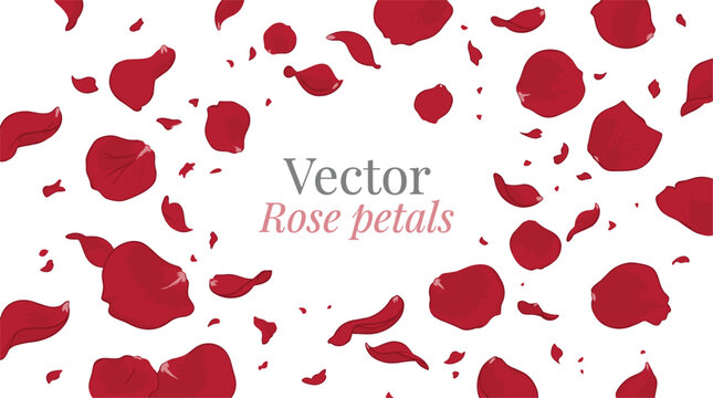Falling red rose petals isolated on white background romantic flying flower element for valentines day wedding vector illustration
