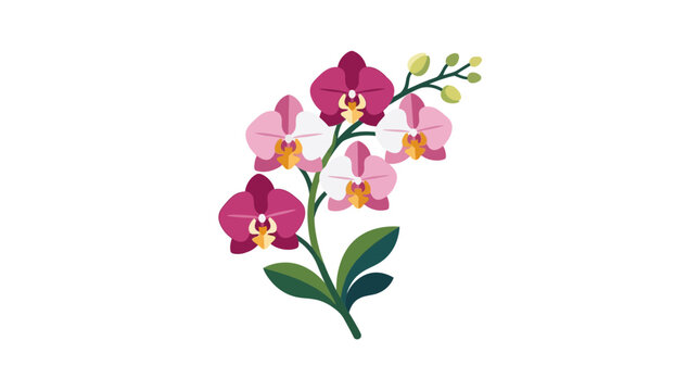 Beautiful Orchid Flowers Blooming on a Stalk.