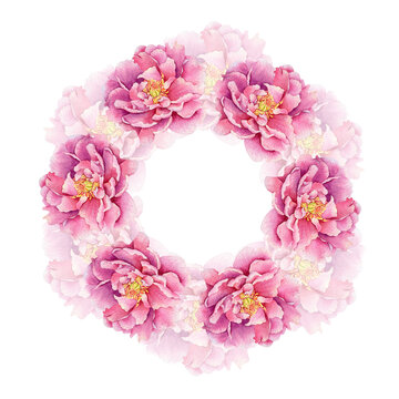 Pink peony flowers hand painted watercolor wreath. Garden rose summer floral frames. Botanical template of pions with copy space for invites, poster, greeting wedding, Mother's day, Birthday cards