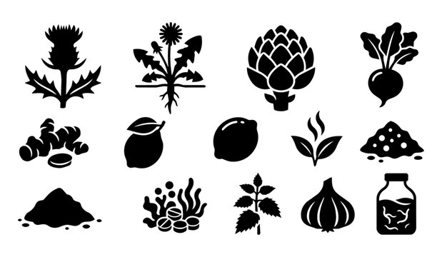 Body Detox Foods and Herbal Remedies Silhouette Icon Set - Liver Cleanse Plants and Natural Superfoods