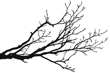 Fototapeta premium Branch frame silhouette art illustrated drawing.