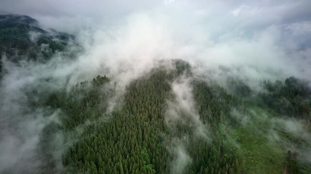 Aerial Hyperlapse Backward Through Low Clouds Over Misty Mountain Forest