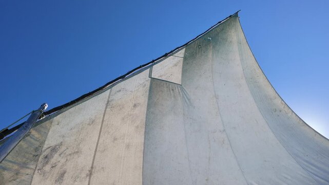 Dhow sail, Nampula Province, Island of Mozambique, Mozambique