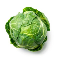 Fototapeta premium Brussels Sprouts vegetable produce cabbage.