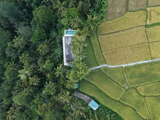 Fototapeten Reisfelder A secluded Balinese villa with pool emerges from a canopy of coconut palms and terraced rice fields, captured from a contrasting aerial angle  © Dronie Nature