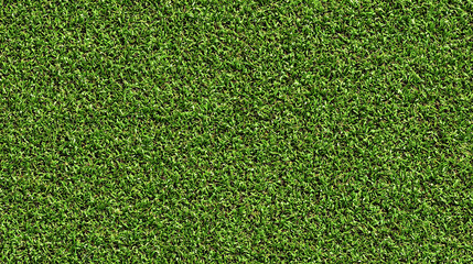 Fototapeta premium Seamless Tileable Lawn Grass Surface Texture Flat