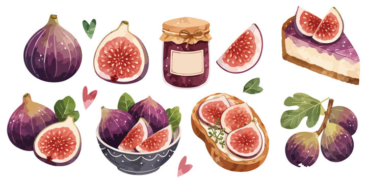 Watercolor fresh fig fruits and sweet dessert elements set