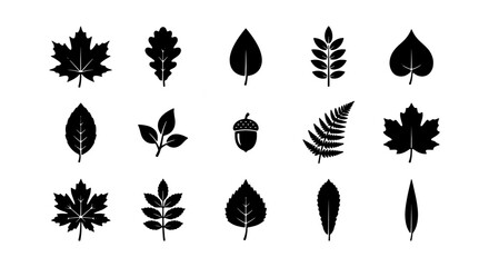 Vector Leaf Icons Set, Nature Elements Collection, Autumn Foliage Silhouettes, Botanical Graphics, Fall Season © MdJahid