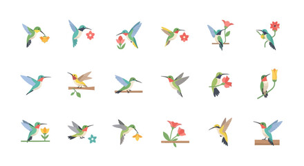 Hummingbird Collection: Tiny Birds Feeding on Flowers, Vector Icons © mad
