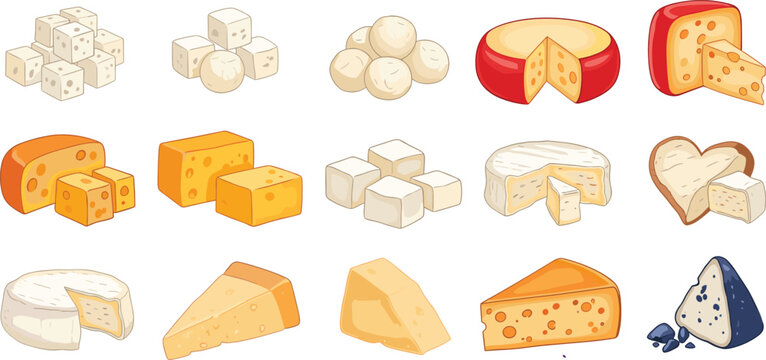 Gourmet cheese collection vector illustration set with varieties of cheddar parmesan gouda feta brie and blue cheese for dairy menu design