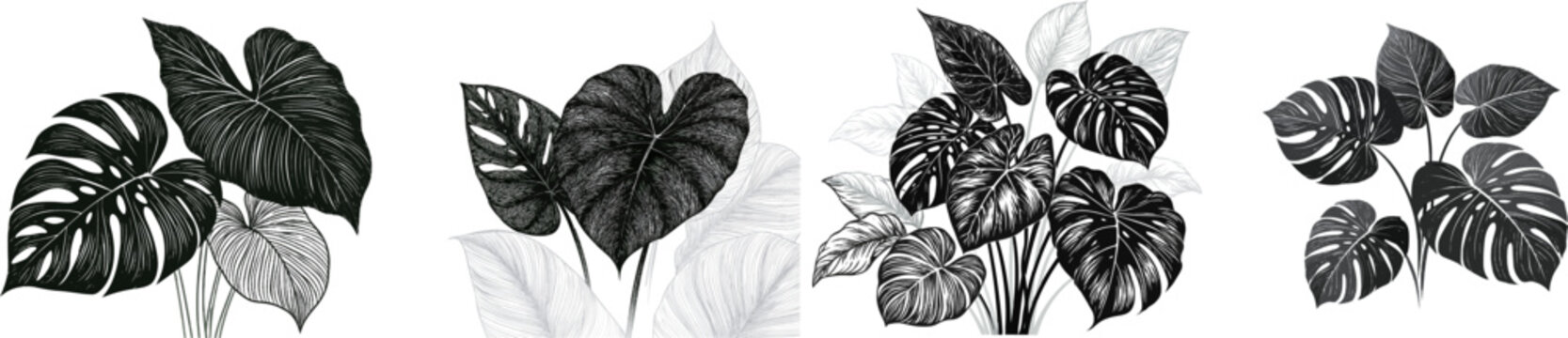 A striking black and white textile pattern showcases intricate leaves from rare plants like Monstera adansonii, Alocasia portei, and Calathea orbifolia, overlapping in a detailed high-contrast
