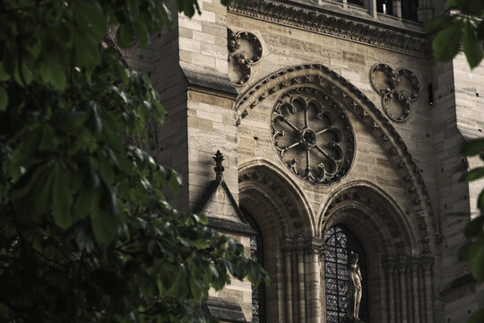 Notre dame de paris architecture and rose window