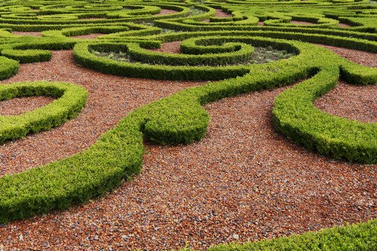 Formal french garden parterre with manicured green hedges