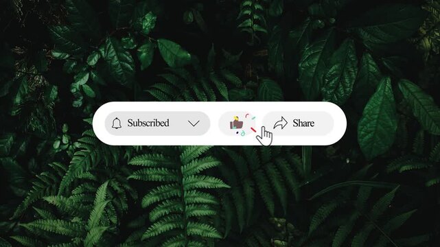 YouTube Lower Third Subscribe Like and Share Button Animation with Green Screen 4K
