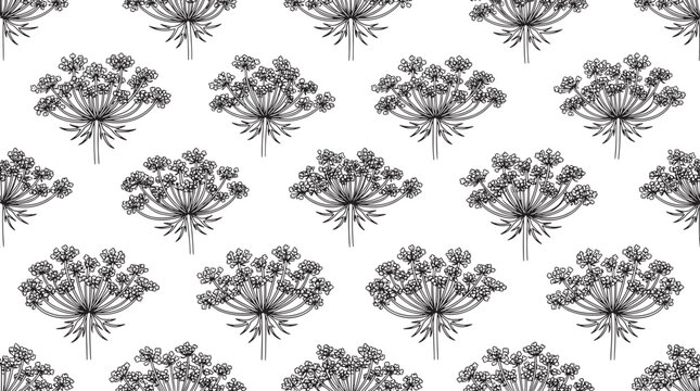 Dill flower seamless pattern vintage botanical line art vector
