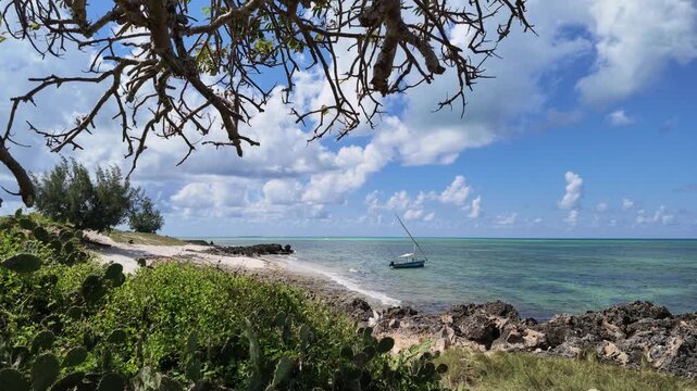 Dhow in a bay, Nampula Province, Island of Mozambique, Mozambique