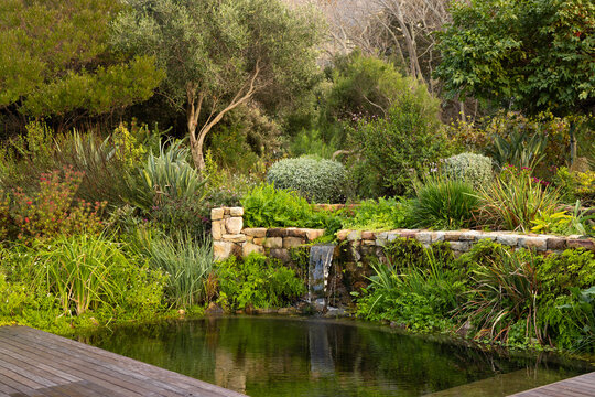 Stone spillway is spilling water into reflective pond by wooden deck, surrounded by green plants