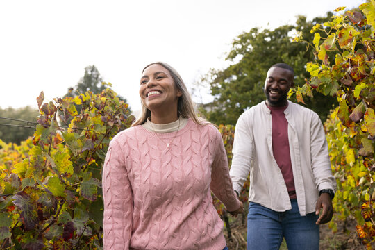 African American couple walking between grapevine rows in vineyard wearing pink sweater and watch