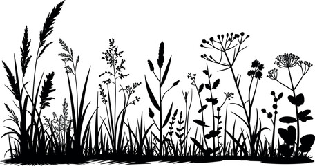 Wild meadow grass and flowering plants silhouette border isolated botanical nature landscape vector design © Asha