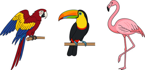 Obraz premium Colorful Exotic Tropical Birds Vector Character Set with Scarlet Macaw Parrot Yellow Billed Toucan and Pink Standing Flamingo Illustration for Kids Designs