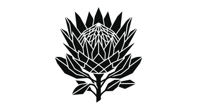 Striking black and white illustration of a protea flower with detailed geometric petals
